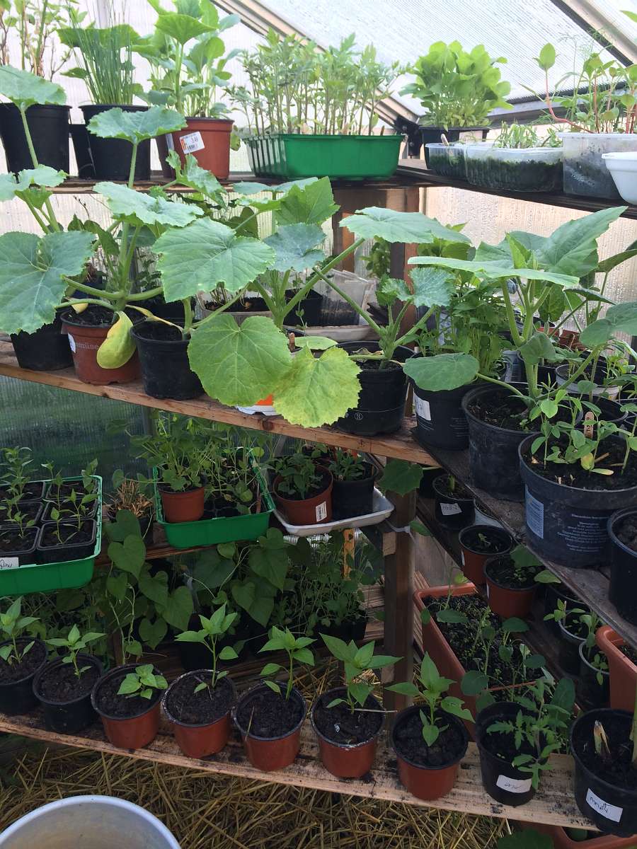 2014-04-23 07-32-02.JPG